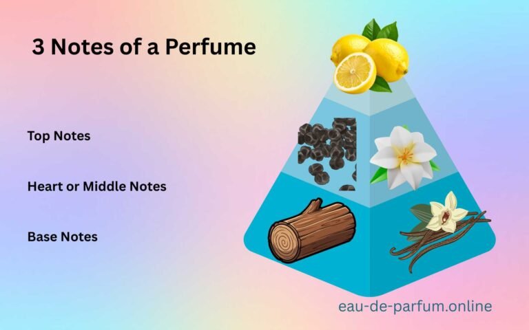 3 Notes of a Perfume